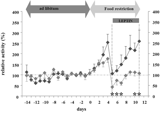 Chart showing starvation-induced hyperactivity in rodents with or without leptin infusion